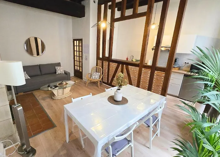 Apartment L'experience Tourangelle #2 *