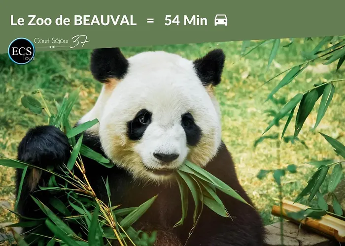 L'experience Tourangelle #2 Apartment