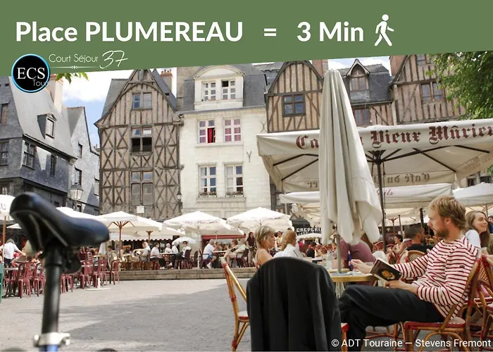 Apartment L'experience Tourangelle #2 *