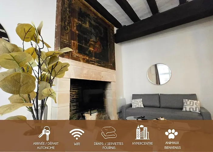 Apartment L'experience Tourangelle #2 *